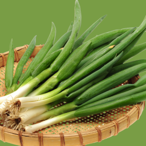 Cebolinha em horta vertical de apartamento