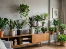 capa 5 Plantas de Interior Fáceis de Cuidar para Apartamento